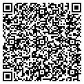 QR code with DSS Inc contacts
