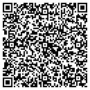QR code with Borriello Brothers contacts