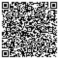 QR code with Ivcivc contacts