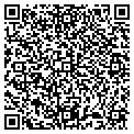 QR code with B-A-D contacts