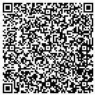 QR code with Pulcinella Pizzeria contacts