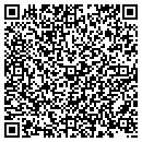 QR code with P Jay's Pub Inc contacts