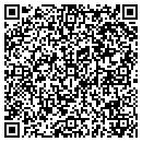 QR code with Pubilic Relations Summit contacts