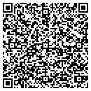 QR code with Public Action Inc contacts