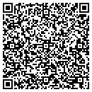 QR code with Pruss Group Inc contacts