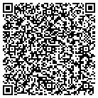 QR code with Public Relation Divas contacts