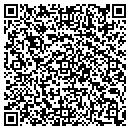 QR code with Puna Pizza Inc contacts