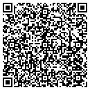 QR code with Pr Strategists LLC contacts