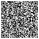 QR code with Public Works contacts
