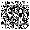 QR code with Briar Patch contacts