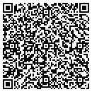 QR code with Blue Monocle Imaging contacts