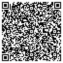 QR code with Pyramid Pizza contacts