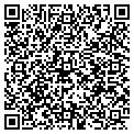 QR code with L G Strategies Inc contacts