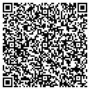 QR code with Pulse Pr Inc contacts