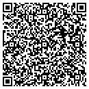 QR code with Pts Staffing contacts