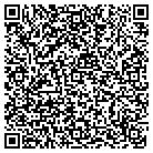 QR code with Public Policy Solutions contacts