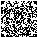 QR code with Public Strategies Inc contacts