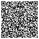QR code with Carlson Construction contacts