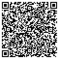 QR code with Tcgllc contacts
