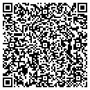 QR code with Precinct Bar contacts