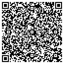 QR code with Pulser Lounge contacts