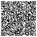 QR code with Precision Sales Inc contacts