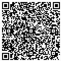 QR code with N Pub contacts