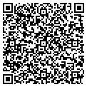 QR code with Nugget contacts