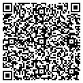 QR code with Rogue contacts