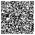 QR code with Bolt contacts
