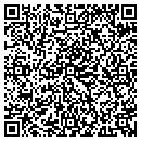 QR code with Pyramid Newsport contacts