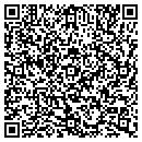 QR code with Carrie Reporting LLC contacts