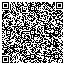 QR code with Bluzman Pinstriping contacts