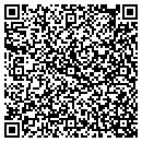 QR code with Carpers Custom Auto contacts