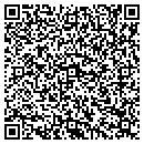 QR code with Practical Sales Tools contacts