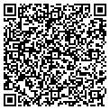 QR code with Yadain contacts