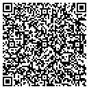 QR code with Pub Time Inc contacts