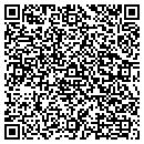 QR code with Precision Collision contacts