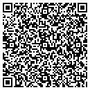 QR code with Precious Pretties contacts
