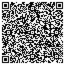 QR code with Premier Sales Assoc contacts