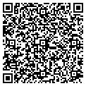 QR code with Maaco contacts