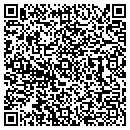 QR code with Pro Auto Inc contacts