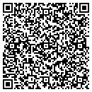 QR code with Pub Zero contacts