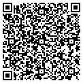 QR code with Tilden's contacts