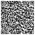 QR code with Public Concepts Inc contacts