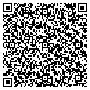 QR code with Premium Lounge contacts