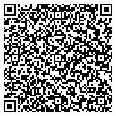 QR code with Primitive Corner contacts