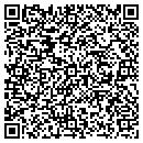 QR code with Cg Dandola Crt Reprt contacts