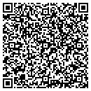QR code with Premier Collision LLC contacts