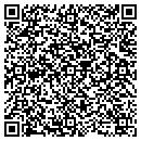 QR code with County Line Collision contacts